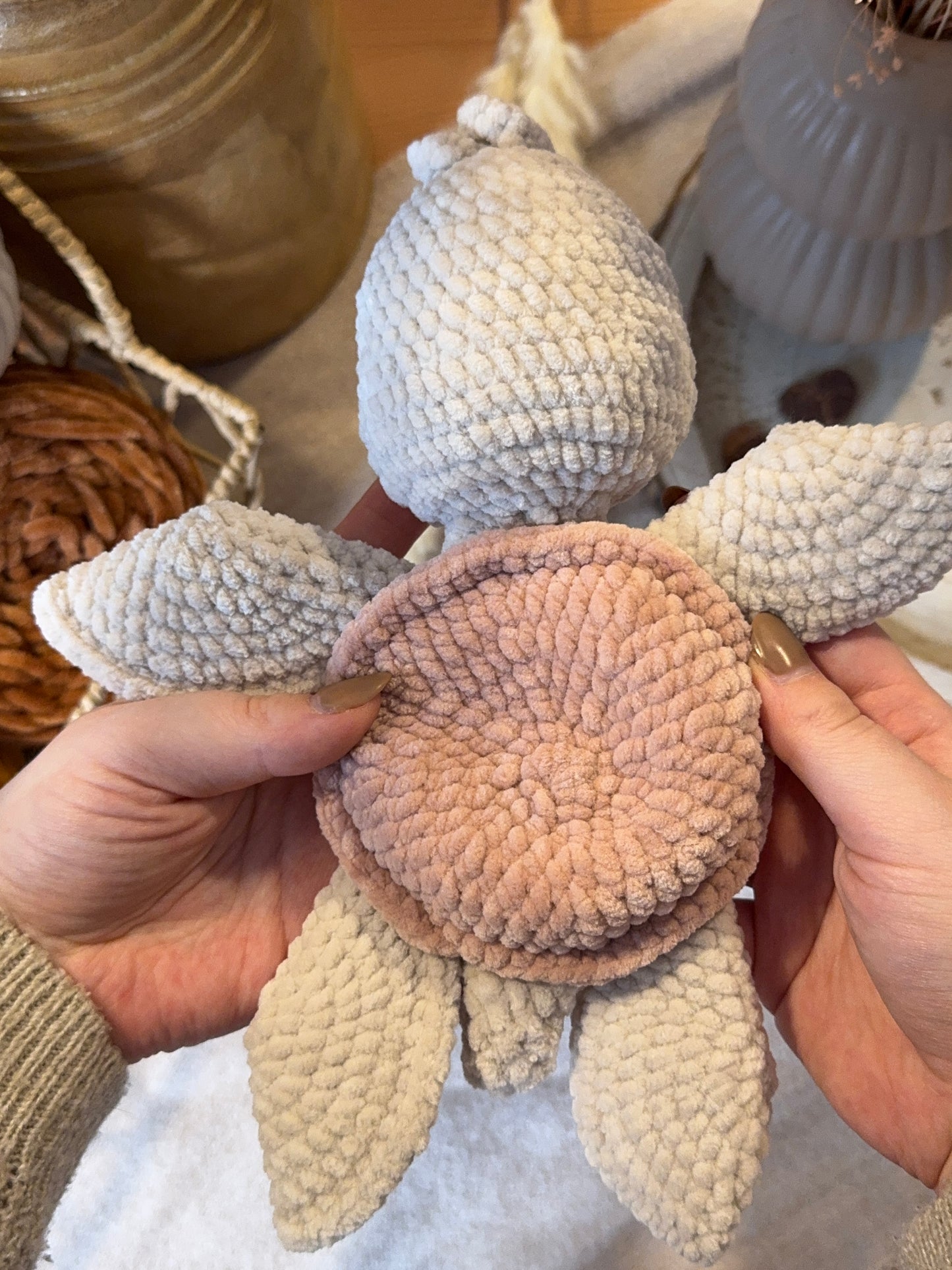 Leif die Schildkröte